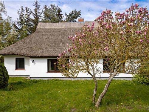 Sommerhus - 5 personer -  - Möhlend - 18569 - Waase