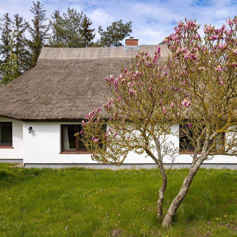 Sommerhus - 5 personer -  - Möhlend - 18569 - Waase