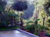 Image 15 - Outside