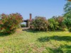 Image 52 - Outside