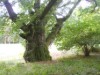 Bild 17