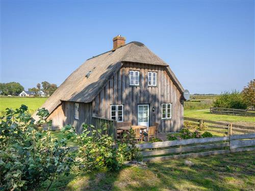 Ferienhaus - 6 Personen -  - Dorfstraße - 25881 - Westerhever