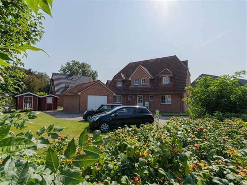 Ferielejlighed - 3 personer -  - Westereck - 25826 - St. Peter-Ording