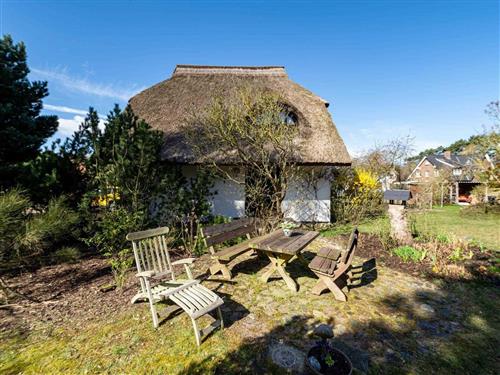 Semesterlägenhet - 2 personer -  - Bollwerkstrasse 13 A - 18586 - Baabe (Ostseebad)