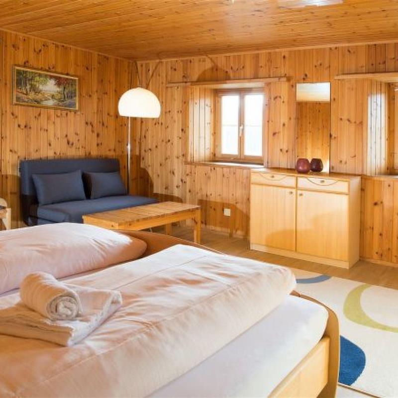 Sommerhus - 10 personer -  - Schmitten - 7493