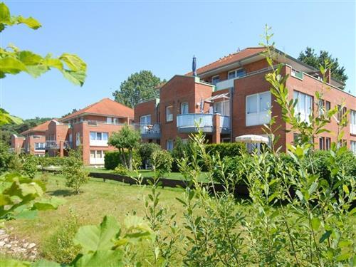 Holiday Home/Apartment - 4 persons -  - Ostseeallee - 23946 - Boltenhagen