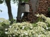 Image 13