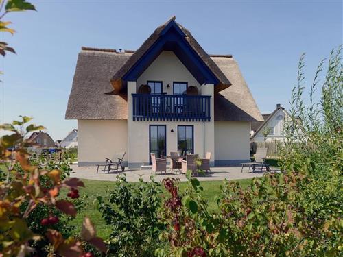 Semesterlägenhet - 6 personer -  - Binsenkoppel - 23942 - Kalkhorst / Groß Schwanse