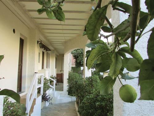 Semesterlägenhet - 2 personer -  - Quartier Poggiola - Gare De Lupinu - 20600 - Bastia