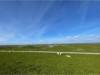 Bild 18