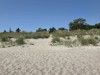 Billede 37
