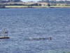 Image 5 - View of water