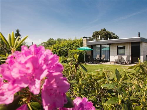 Ferielejlighed - 4 personer -  - Deichgräfenstraße - 26969 - Butjadingen