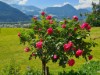 Bild 22