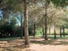 Bilde 31