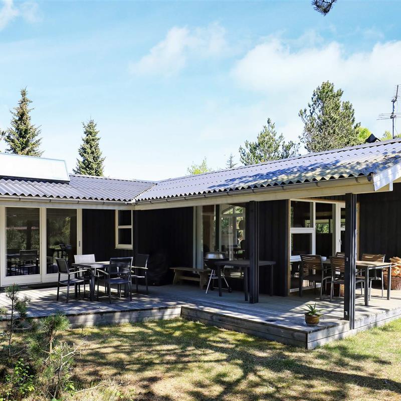 Ferienhaus - 6 Personen -  - Blåbærvej - Napstjärt - 9981 - Jerup