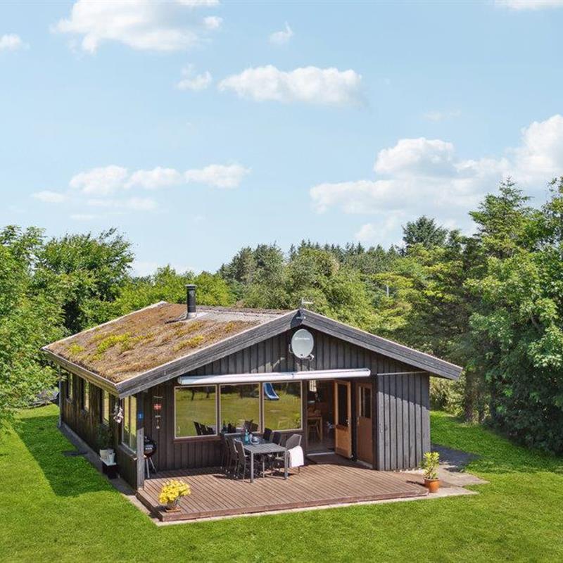 Ferienhaus - 6 Personen -  - Berberisvej - 9492 - Blokhus