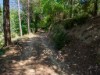 Image 28 - Outside