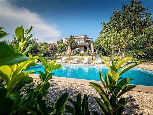 Sommerhus - 8 personer -  - Hrvatskih branitelja - Makarska-Donji Prolozac - 21260 - Donji Prolozac