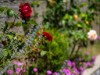 Bilde 45 - Inne