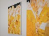 Bild 48