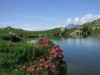 Bild 58 - Ude