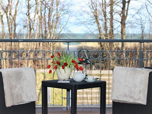 Ferieleilighet - 2 personer -  - Seestraße - 18374 - Zingst (Ostseeheilbad)