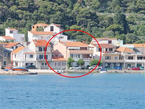 Ferielejlighed - 2 personer -  - Put Rata - 22240 - Tisno
