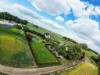 Bild 31 - Ude