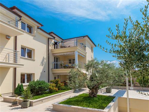 Ferieleilighet - 3 personer -  - Selce - 51266