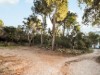 Bild 23