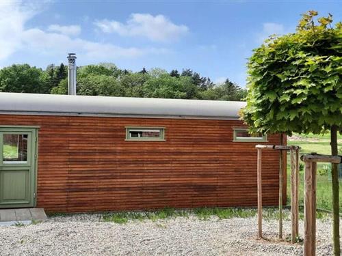 Ferienhaus - 3 Personen -  - 18239 - Bad Doberan - Landkreis -