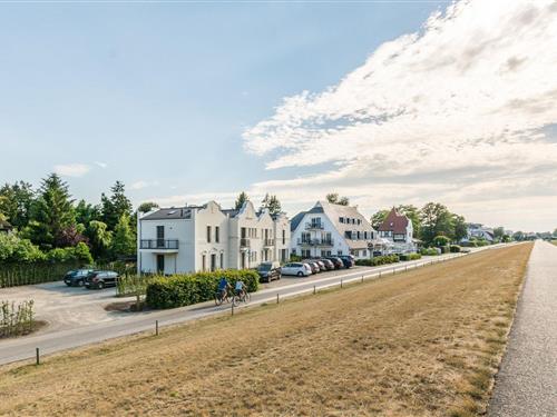 Feriehus - 5 personer -  - Seestrasse - 18374 - Seeheilbad Zingst