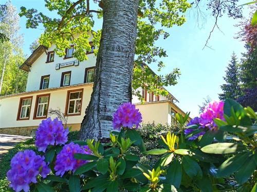 Ferienhaus - 2 Personen -  - Alte Hauptstraße - 01773 - Altenberg