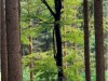 Bild 33