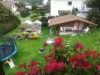 Billede 12