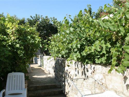 Holiday Home/Apartment - 2 persons -  - Hvar - 21450 - Hvar