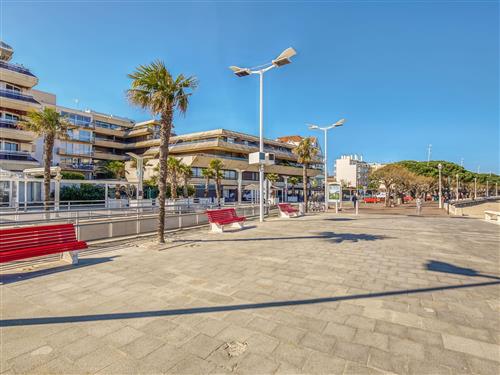 Ferieleilighet - 5 personer -  - Arcachon - 33120