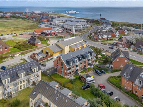Holiday apartment - 4 persons -  - Listlandstraße - 25992 - List Auf Sylt