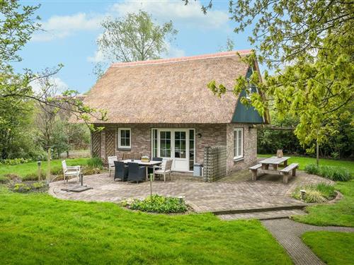 Holiday home - 6 persons -  - Binnenweg - 8378 JJ - Paasloo