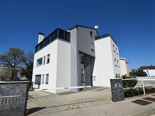 Ferieleilighet - 4 personer -  - Ulica kralja Tomislava - 51512 - Njivice