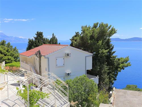 Ferielejlighed - 4 personer -  - Punta 9, Marušici - 21318 - Mimice