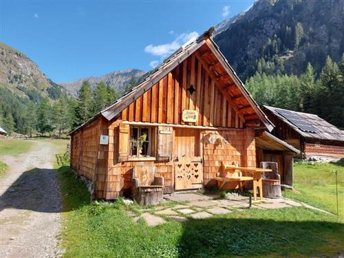 Feriehus / leilighet - 4 personer -  - 5571 - Lungau-Göriach