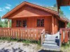 Bild 17