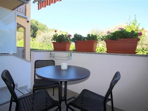 Holiday Home/Apartment - 2 persons -  - Bruno Valenti - 52440 - Porec