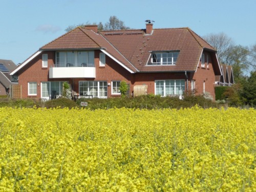 Ferielejlighed - 4 personer -  - Bürgermeister-Fox-Strasse - 23769 - Neue Tiefe