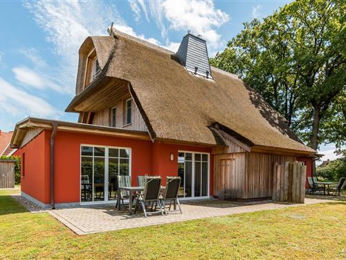 Feriehus - 4 personer -  - Kielstraße - 18375 - Wieck