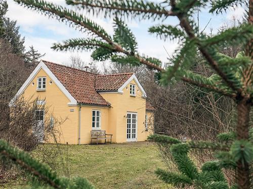 Feriehus - 7 personer -  - Ålbækvej - Kandestederne - 9990 - Skagen