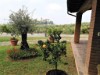 Image 28 - Outside