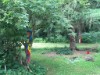 Billede 4